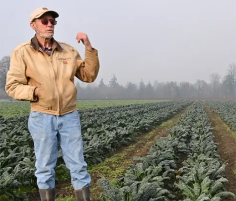 Meet our Local Organic Farmers